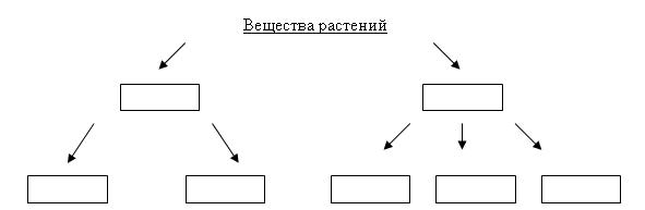 схема состав растений 6 класс схема